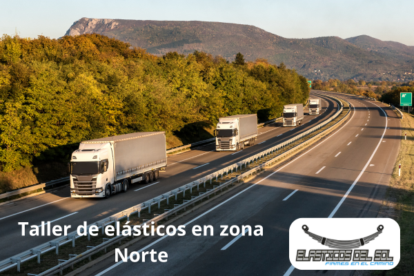 Taller de elásticos zona norte
